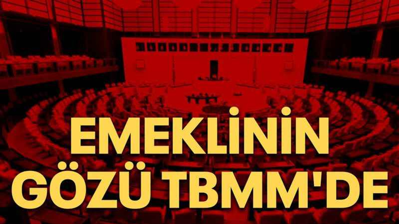 Emeklinin gözü TBMM'de